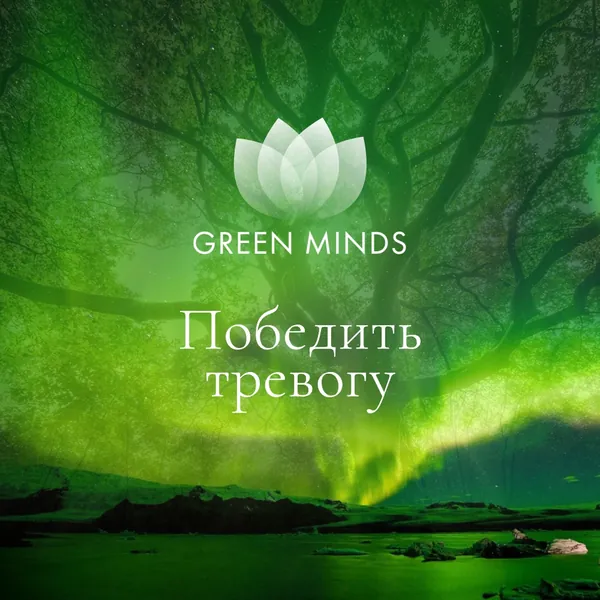 Нейромедитация GREEN MINDS «победить тревогу»