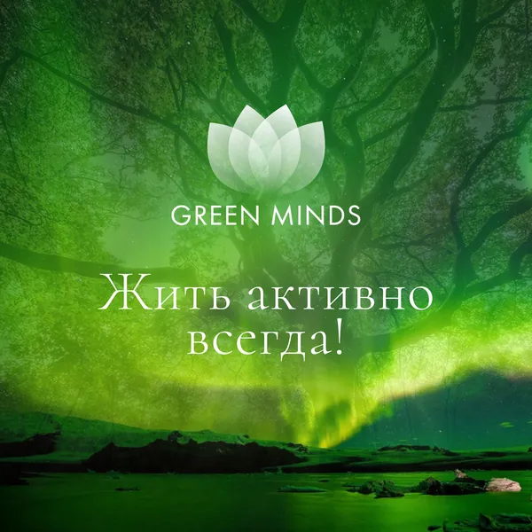 Нейромедитация GREEN MINDS «жить активно всегда!»